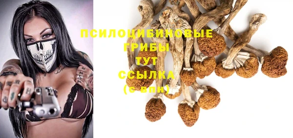 марки lsd Горнозаводск