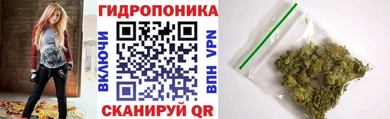 Купить где  Липки  Каннабис сатива 